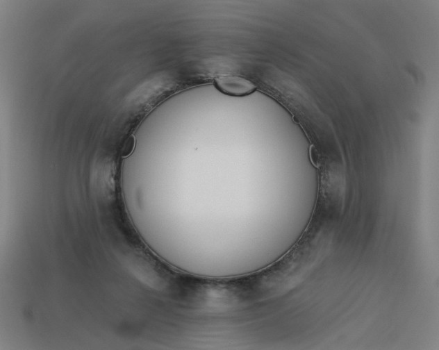 X0000113340264200910061004