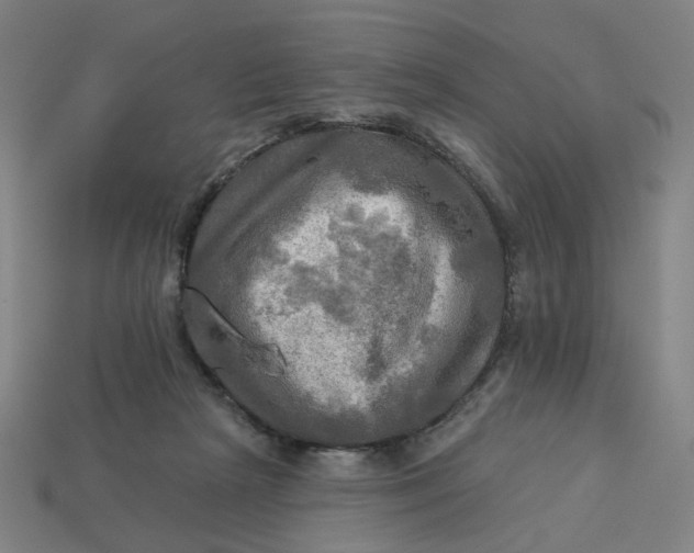 X0000113340265200910061004