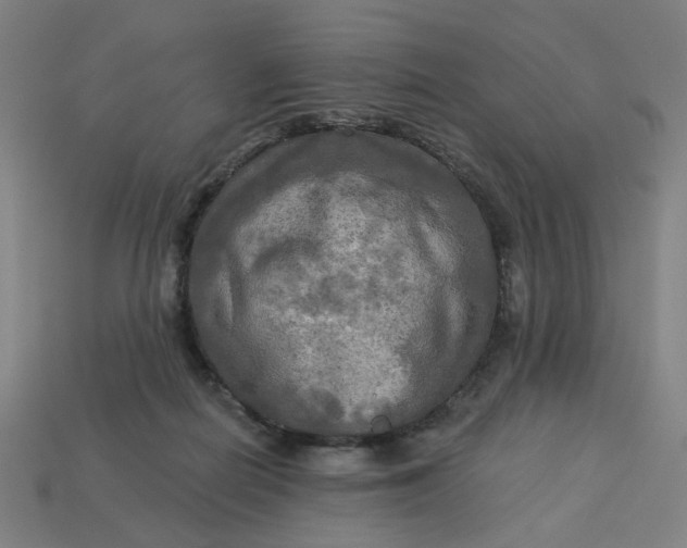 X0000113340266200910061004