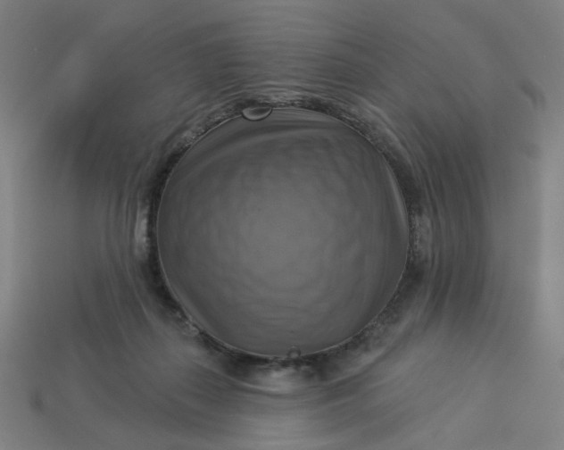 X0000113340267200910061004