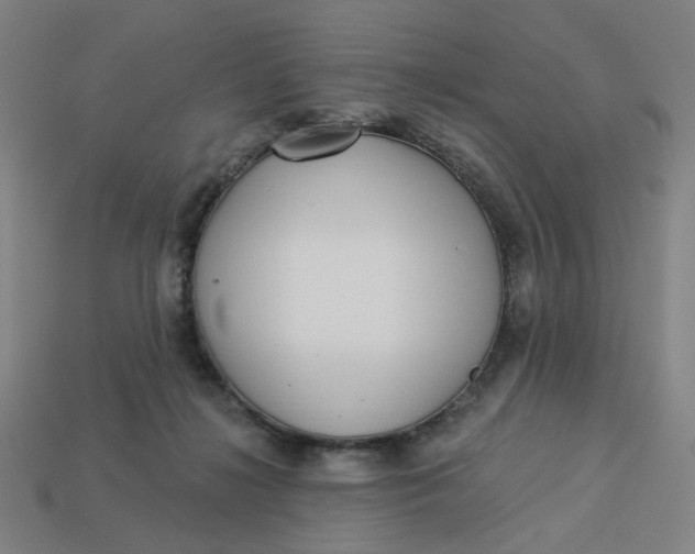 X0000113340268200910061004