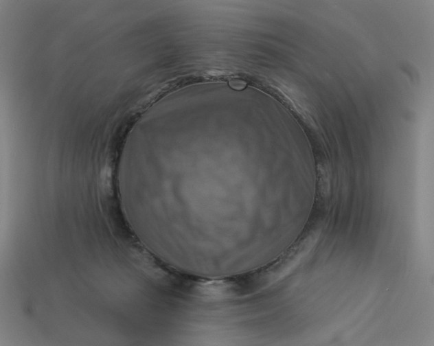 X0000113340269200910061004