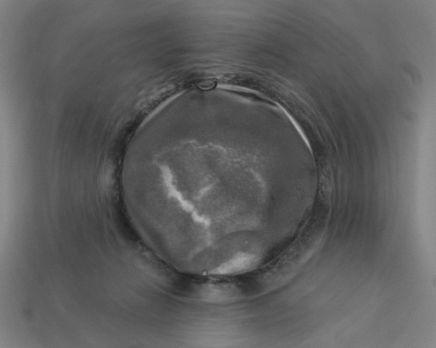 X0000113340270200910061004