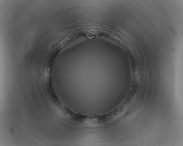 X0000113340271200910061004
