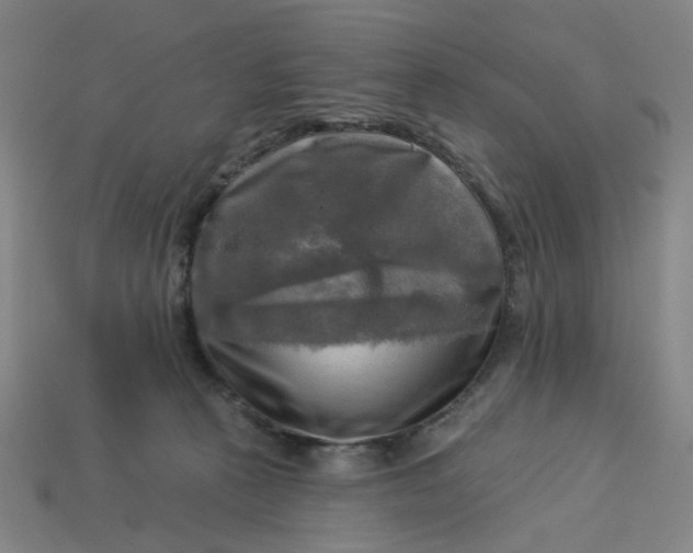 X0000113340273200910061004