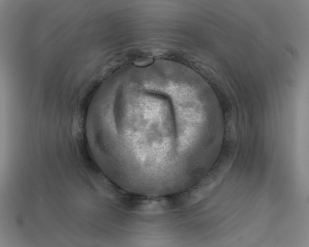 X0000113340274200910061004