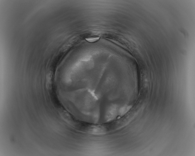 X0000113340275200910061004