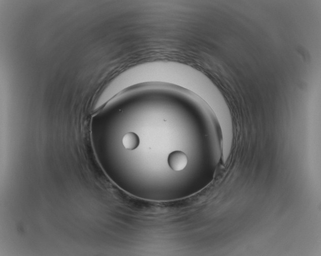 X0000113340276200910061004