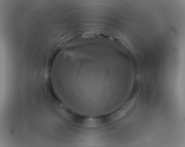 X0000113340277200910061004