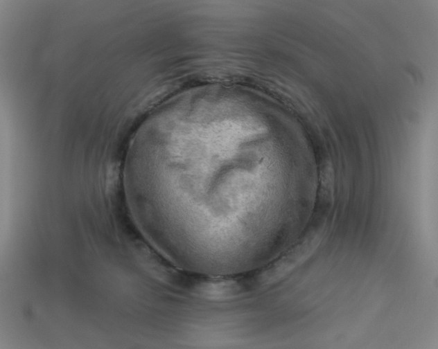 X0000113340278200910061004