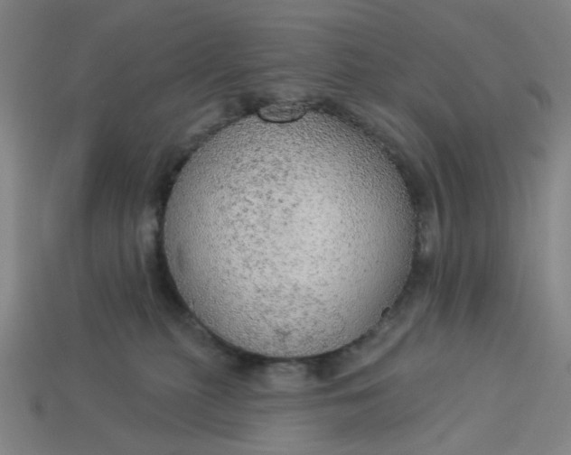 X0000113340279200910061004