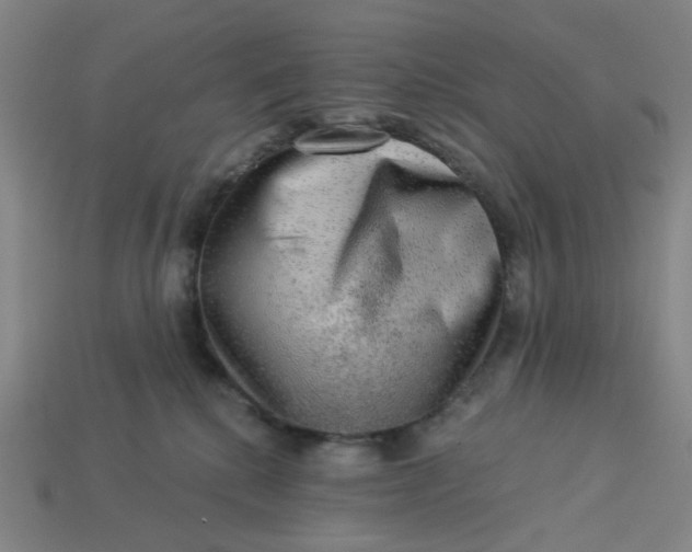 X0000113340280200910061004
