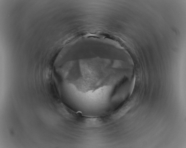 X0000113340281200910061004