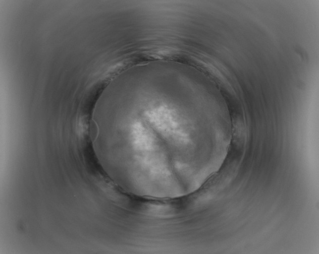 X0000113340284200910061004