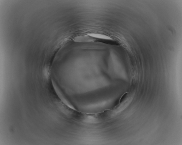 X0000113340285200910061004