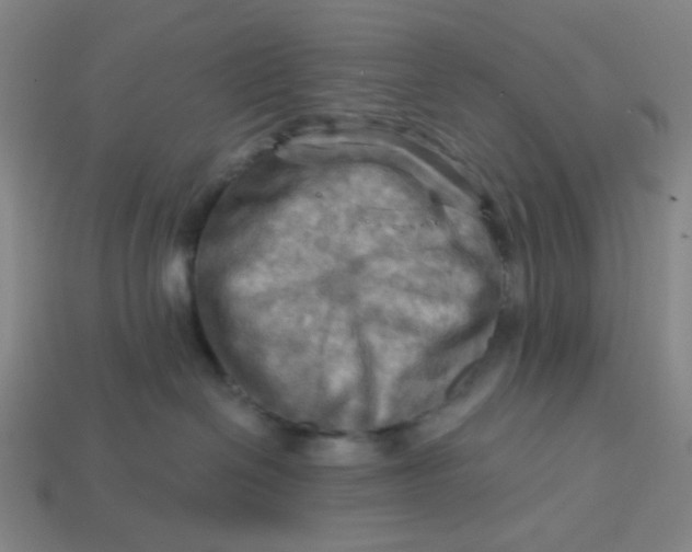 X0000113340286200910061004