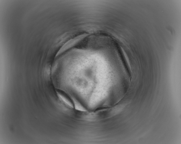 X0000113340288200910061004