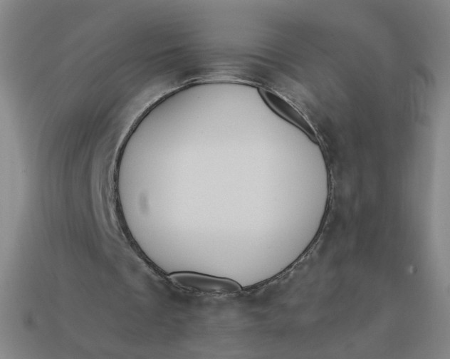 X0000113340289200910061004