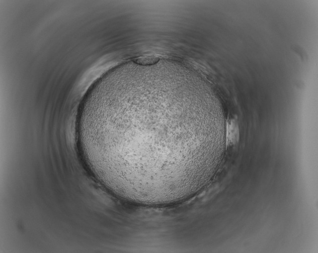 X0000113340291200910061003