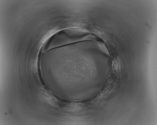 X0000113340292200910061003