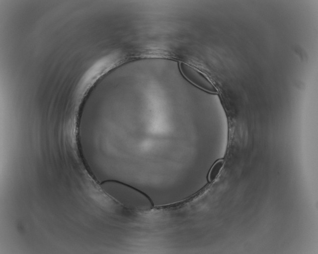 X0000113340293200910061003