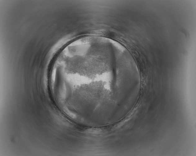 X0000113340294200910061003