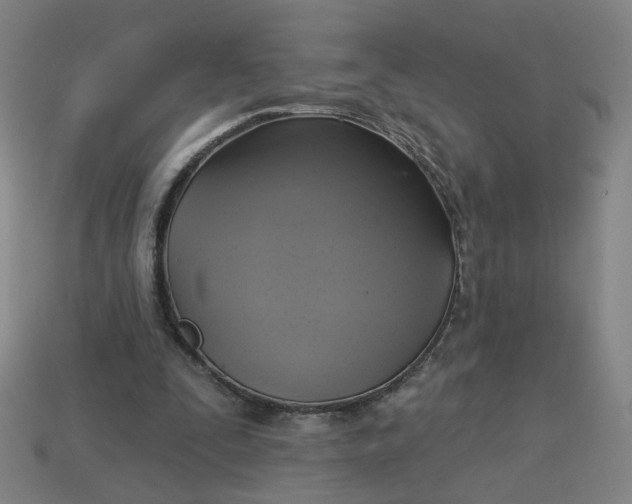 X0000113340295200910061003