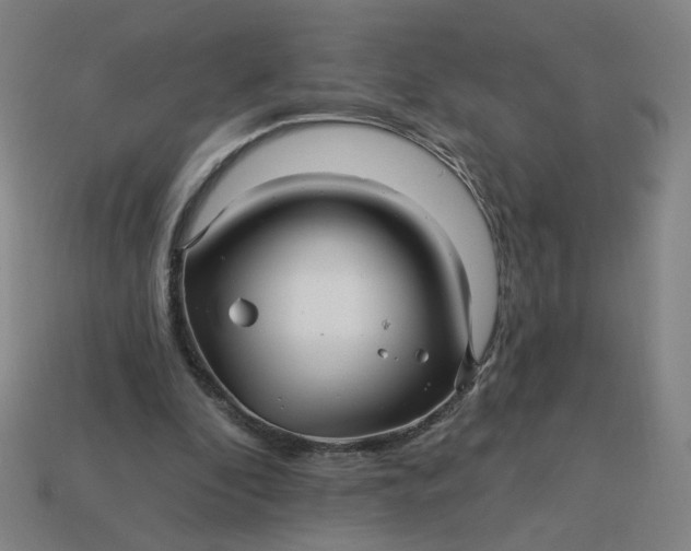 X0000113340296200910061003