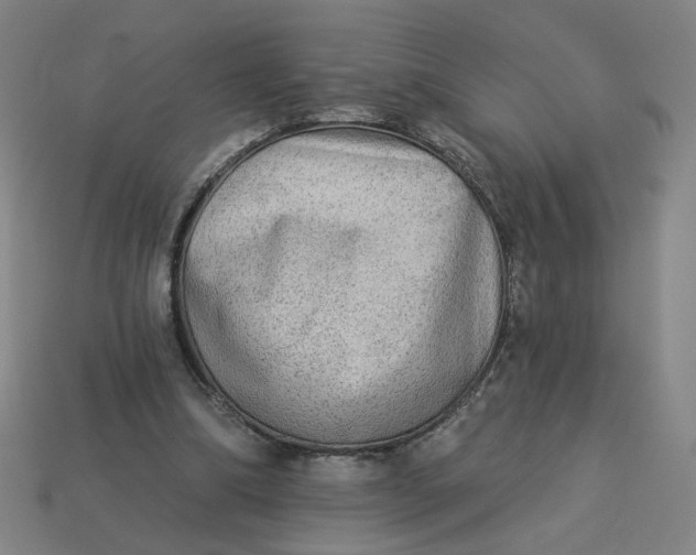 X0000113340298200910061003