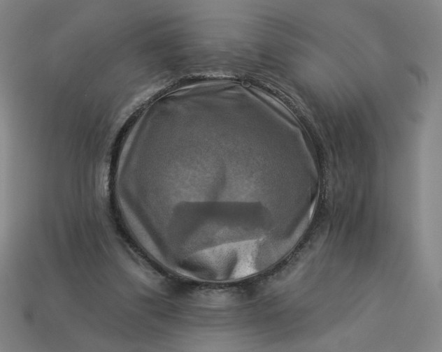 X0000113340299200910061003