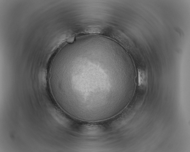 X0000113340300200910061003