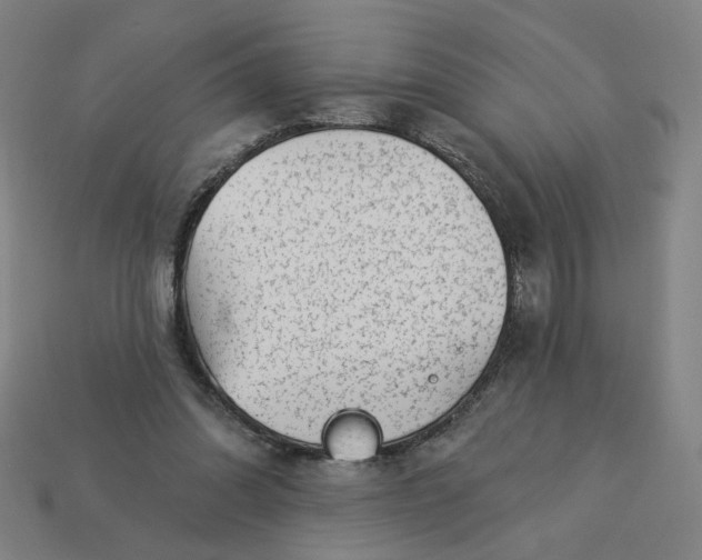 X0000113340302200910061003