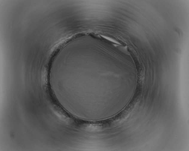 X0000113340303200910061003