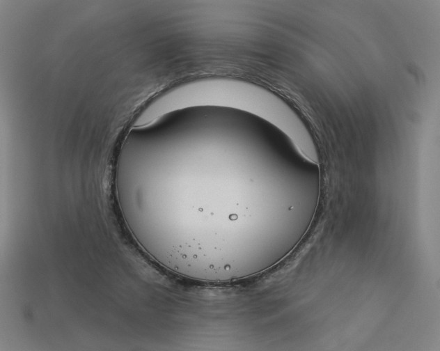 X0000113340305200910061003