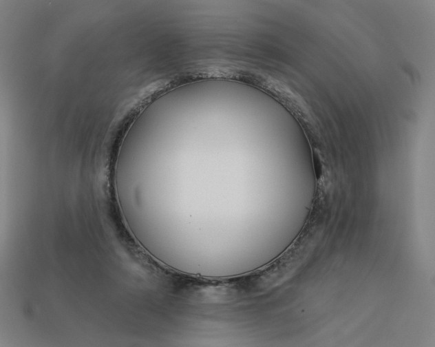 X0000113340306200910061003