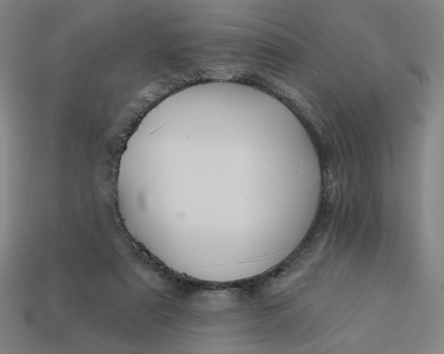 X0000113340307200910061003