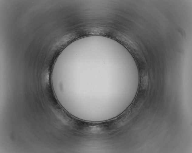 X0000113340310200910061003