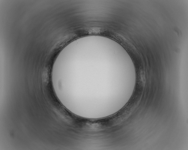 X0000113340311200910061003