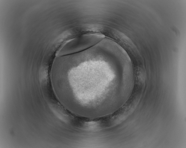 X0000113340312200910061003