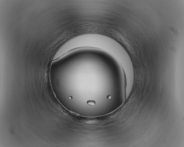 X0000113340313200910061003