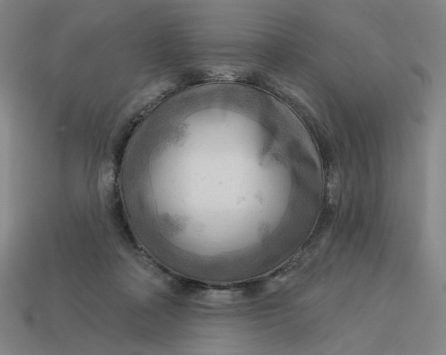 X0000113340314200910061003
