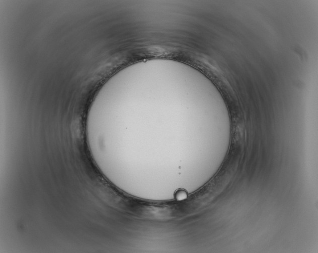 X0000113340317200910061003