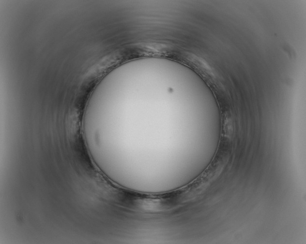X0000113340318200910061003