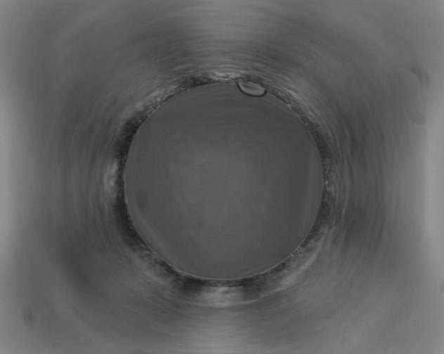X0000113340319200910061003