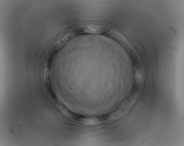 X0000113340322200910061003