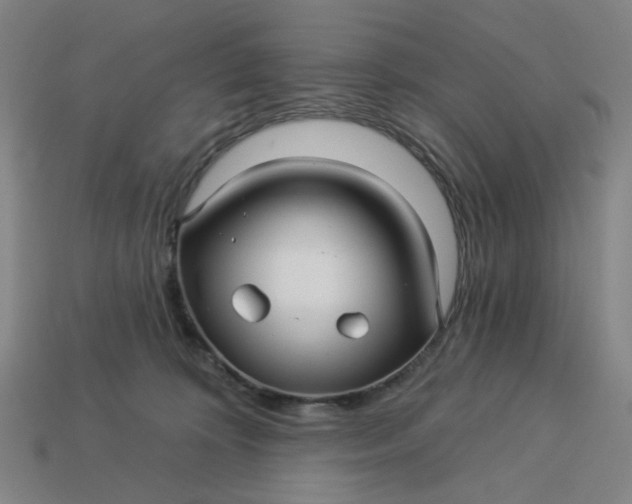 X0000113340324200910061003