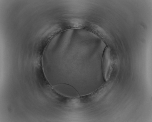 X0000113340325200910061003