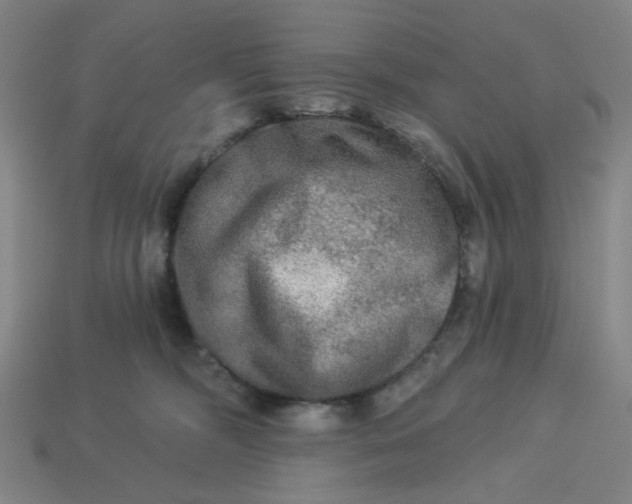 X0000113340326200910061003