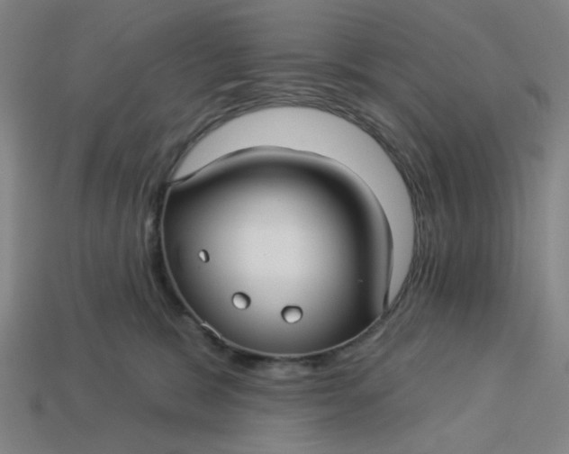 X0000113340327200910061003