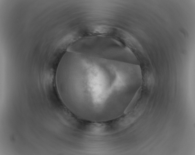 X0000113340328200910061003